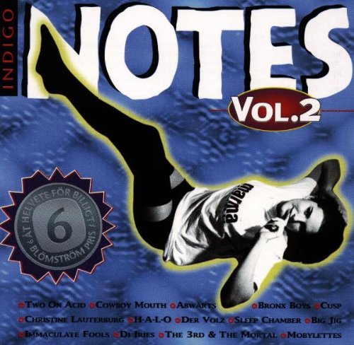Indigo Notes 2