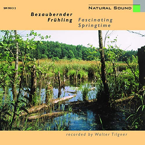 Tilgner Walter
