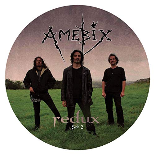 Redux (Pic Disc)