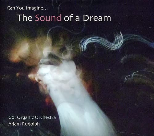 Go: Organic Orchestra-Can You Imagine...The Sound