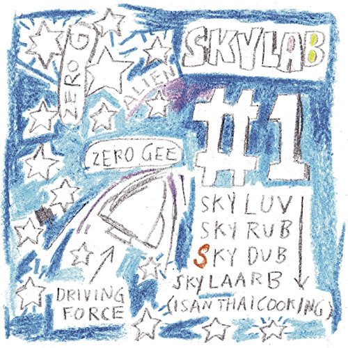 Skylab No. 1