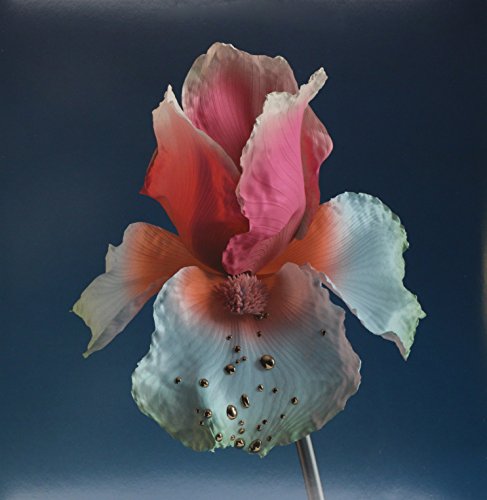 Tiny Cities (2 Lp)