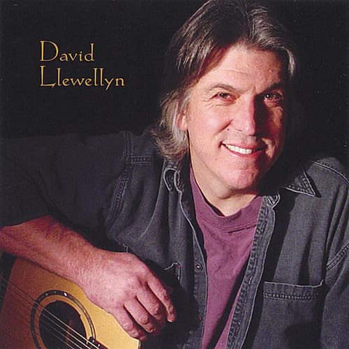 David Llewellyn