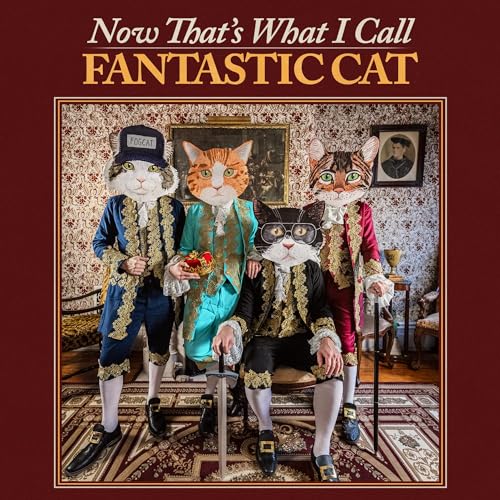 Now That'S What I Call Fantastic Cat