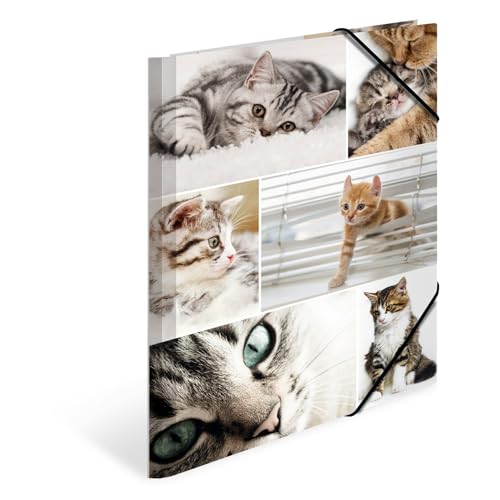 Herma 19212 - Cartellina Portadocumenti Formato Din A4, Motivo: Gatti, In Cartone Resistente, Con Stampa Interna Completa, Elastici, Per Bambini E Bam