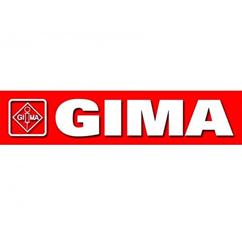 Gima 34186 Cassetta In Plastica Vuota, 290 X 215 X 90 Mm, Confezione