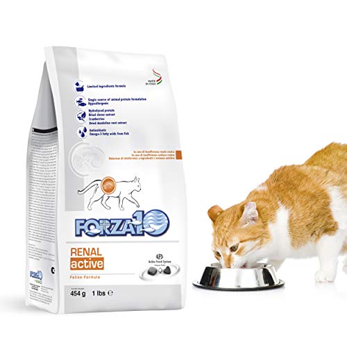 Forza10 Gatto, Dieta Renal Active Gr.454