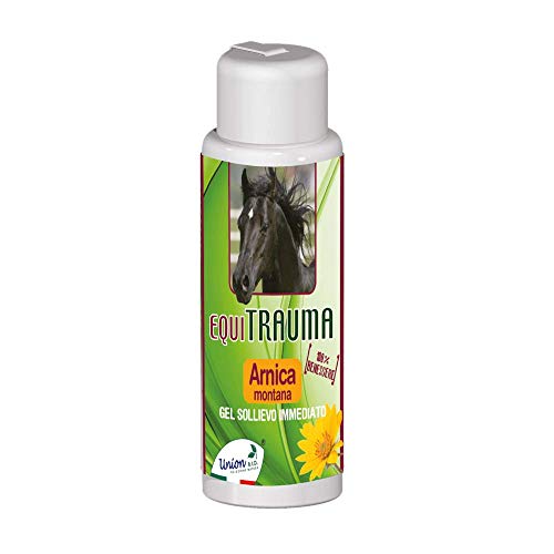 Equitrauma 250Ml Arnica Per Cavalli Uso Umano - Gel Arnica Montana Pura 100% Bio, Pomata Super Forte, Crema Dolori, Muscolare Cavallo Dolore Ginocchio