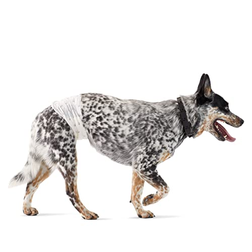 Amazon Basics, Pannolini Usa E Getta Per Cani Maschi - M, Confezione Da 50, Bianco
