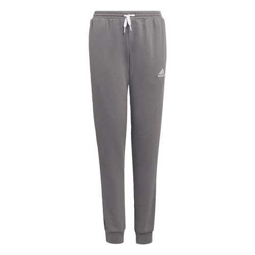 Adidas Entrada 22 Sweat Tracksuit Bottoms Pantaloni Sportivi, Team Grey Four, 152 Unisex - Bambini E Ragazzi