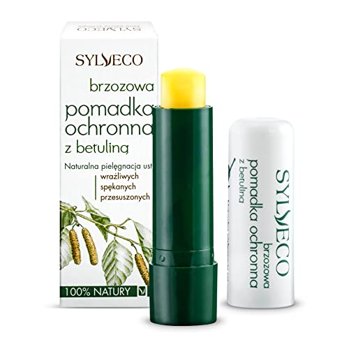 Sylveco Rossetto Protettivo In Betulla Con Betulla
