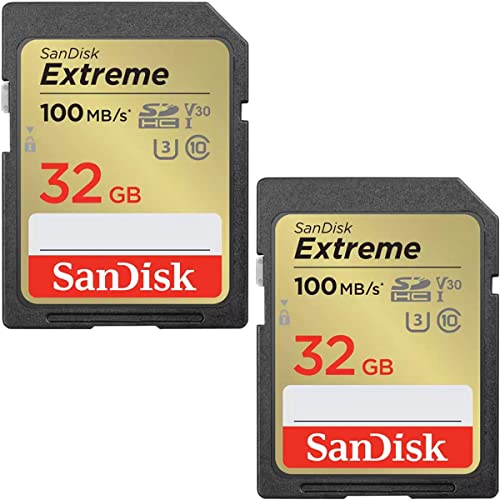 Sandisk Schede Sdhc Extreme Da 32 Gb (Confezione Da 2) + Rescuepro Deluxe, Fino A 100 Mb/S, Uhs-I, Classe 10, U3, V30