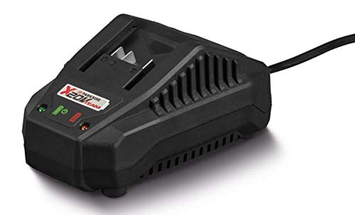 Parkside Plg 20 A1Caricabatterie, 65 Watt, Compatibile Con X20V Team