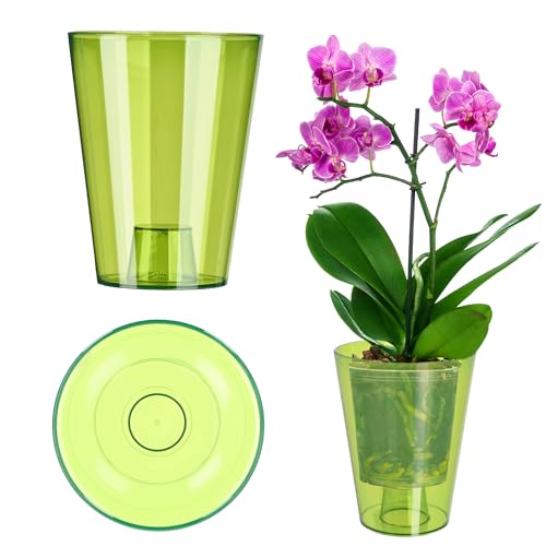 Kadax Flowerpot, Slim Orchid Pot, Semplice Fioriera, Secchio Di Fiori Per Orchidea, Erba Da Ragazzo, Margherita, Roba Per Cucina E Soggiorno (⌀ 12 Cm,