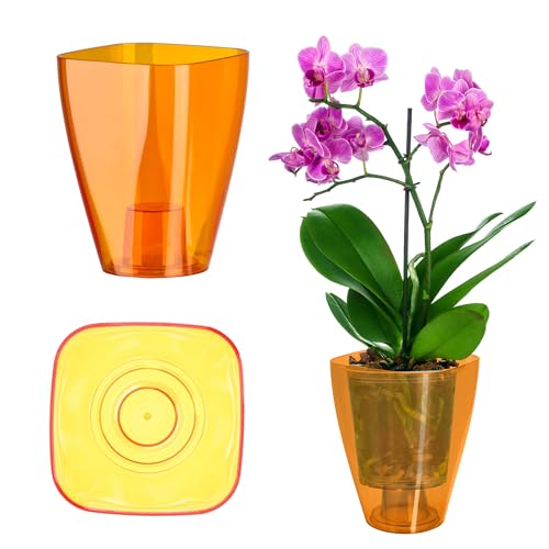 Kadax Flowerpot, Slim Orchid Pot, Semplice Fioriera, Secchio Di Fiori Per Orchidea, Erba Da Ragazzo, Margherite, Trama Per Cucina E Soggiorno (⌀ 12 Cm