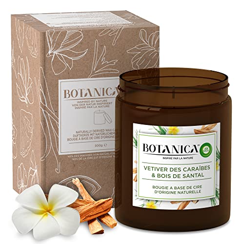Botanica By Air Wick Große Duftkerze Xl - Bis Zu 90 Stunden - Duft: Süßgras Und Sandelholz - Nachhaltig Hergestellt Mit Natürlichen Inhaltsstoffen - 1