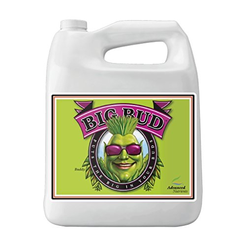 Advanced Nutrients Gl525050-12 Fertilizzante Liquido Big Bud, 250 Ml.250 Litri, Marrone/A