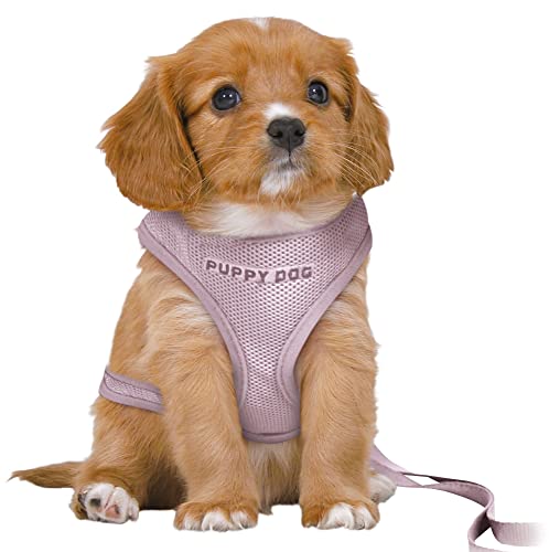 Trixie Junior Imbracatura Imbottita Con Ramal Per Cuccioli Per Cani