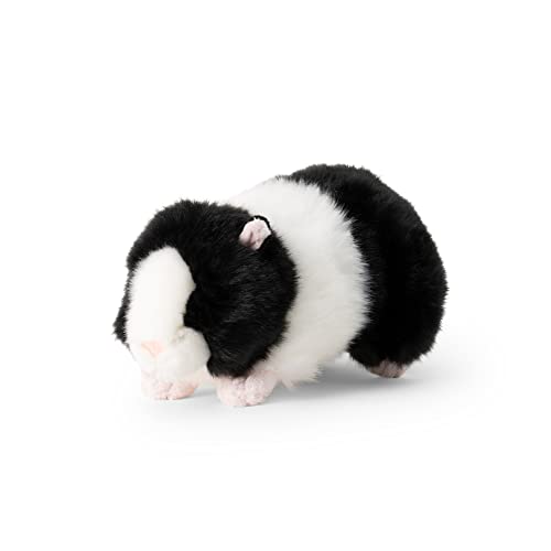 Animigos Mondo Della Natura In Bianco E Nero Guinea Pig, Design E Colori Assortiti, 38477