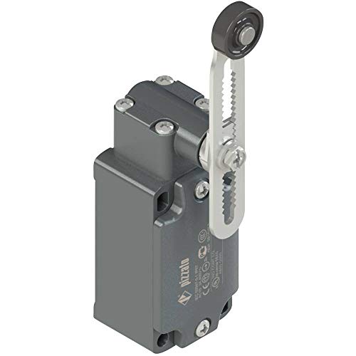 Pizzato Elettrica Fd 556-M2 - Interruttore Di Fine Corsa 250 V/Ac 6 A Leva Girevole A Rullo Di Richiamo Ip67 1 Pz(I)
