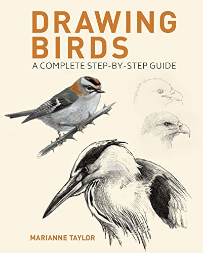 Drawing Birds: A Complete Step-By-Step Guide (English Edition)