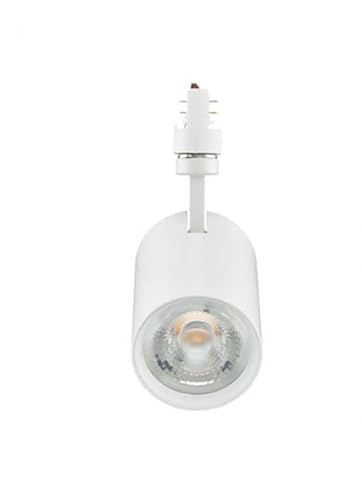 Proiettore Led Coreline Gen2 Philips 52861199 911401847182-30W 3000K