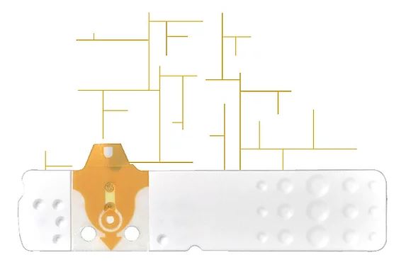 Bioseven srl