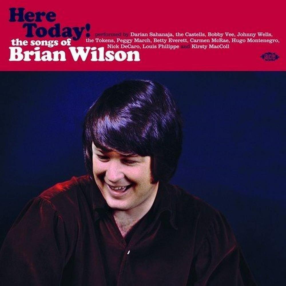 Here Today! The Songs Of Brian Wilson - Various Artists (Vinile)