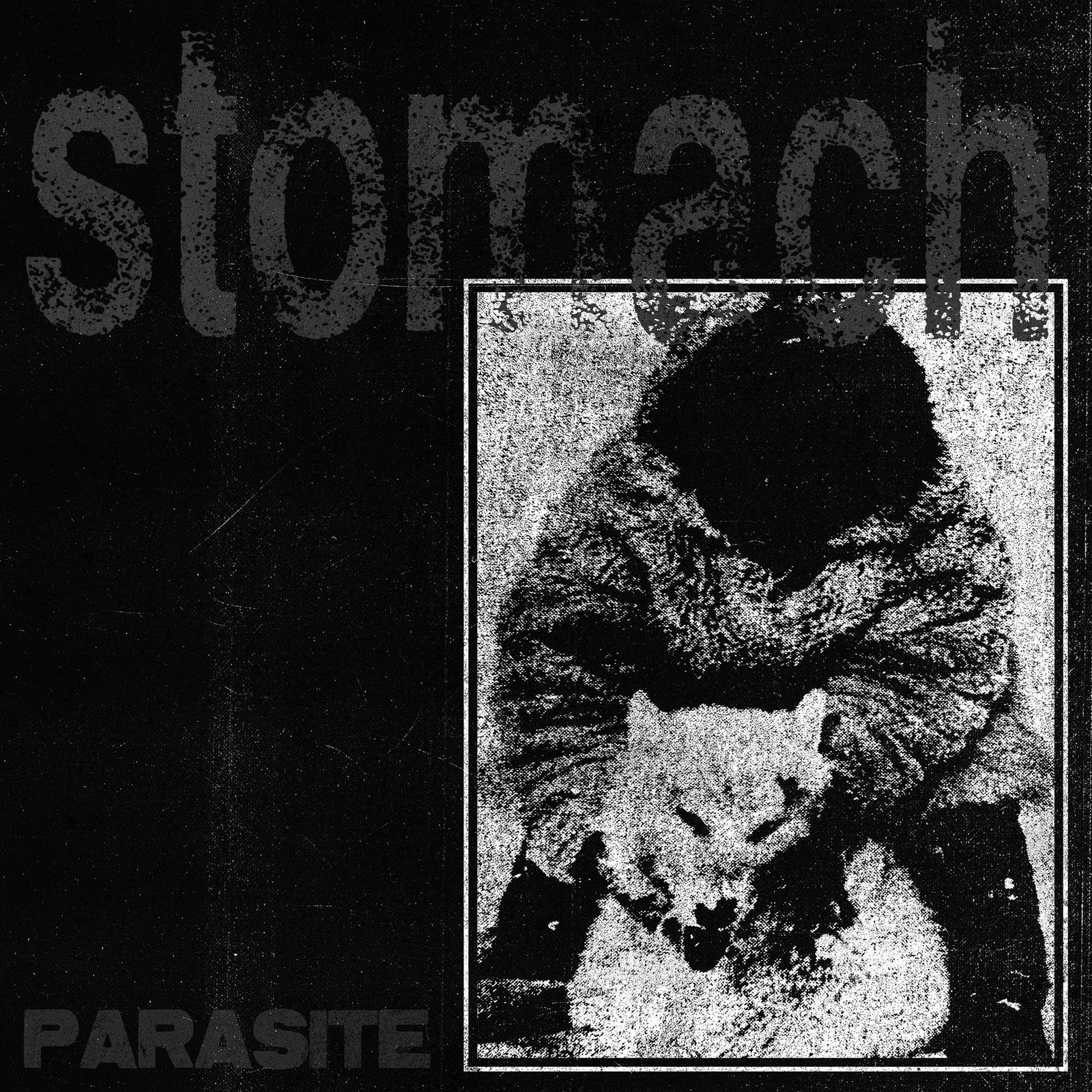 STOMACH Parasite (Vinyl LP)