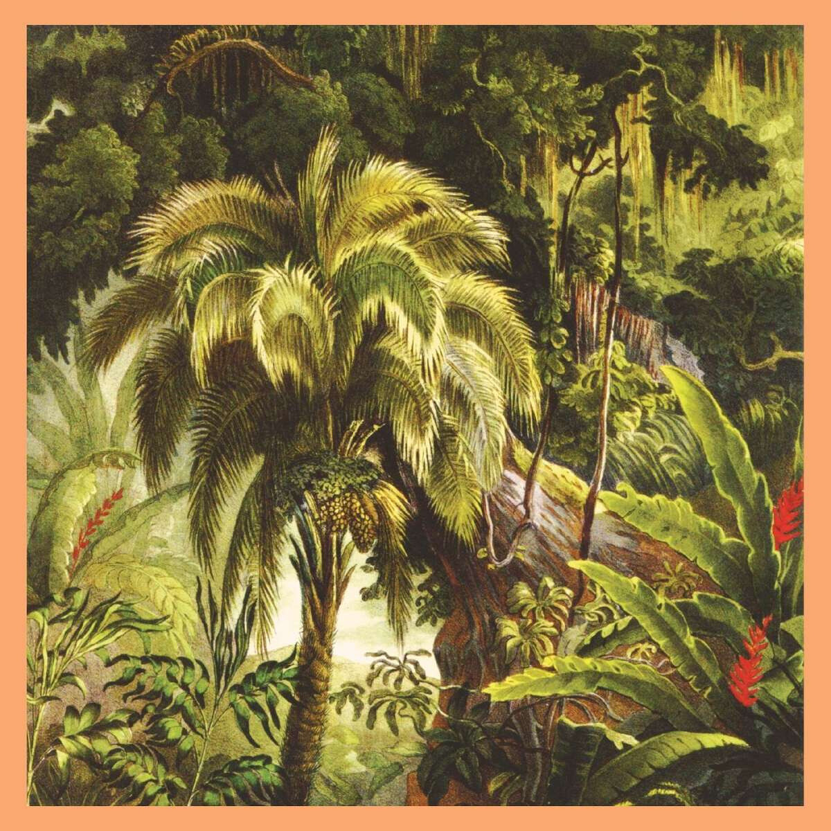 La Foret - Sunset Swirl Vinyl Edition (Vinile)