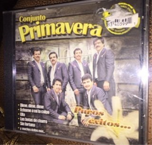 Conjunto Primavera Puros Exitos (CD)