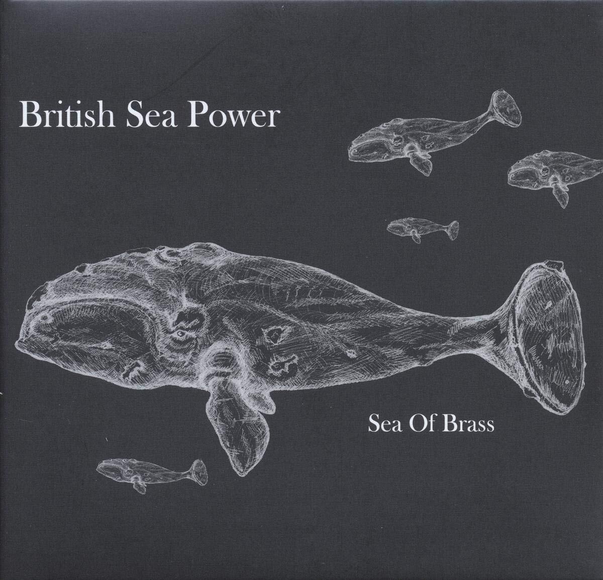 British Sea Power Sea of Brass CD GCR015CD NEW