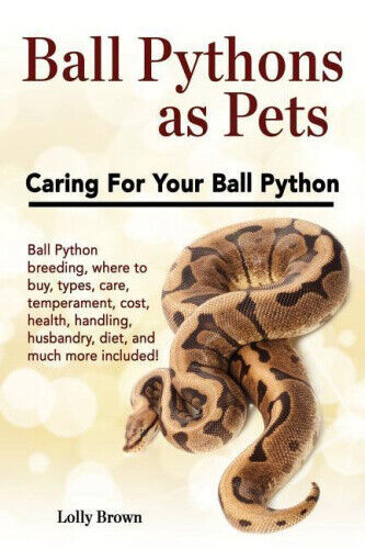 Ball Pythons as Pets: Ball Python Breeding, Where to Buy, Types, Care,