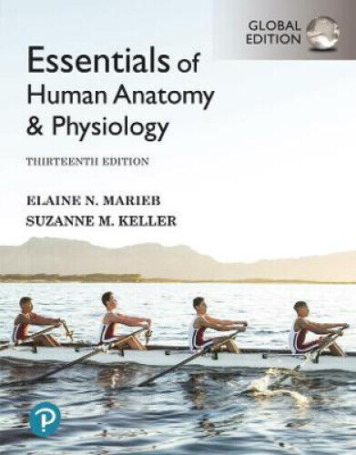 Essentials of Human Anatomy & Physiology, Global Edition by Marieb, Elaine