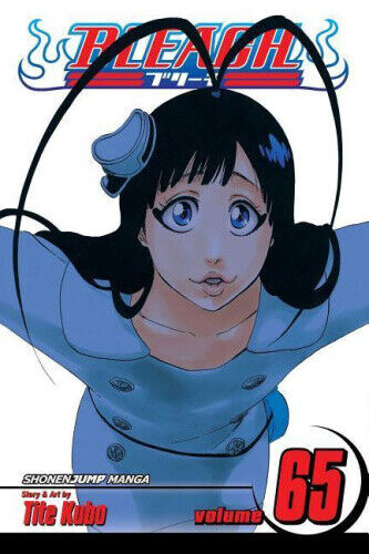 Bleach, Vol. 65 (Bleach) by Kubo, Tite