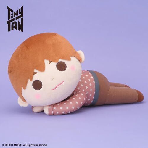 BTS - TINYTAN DREAMY MEJ DOLL DY - JIN PLUSH ACC NUOVO