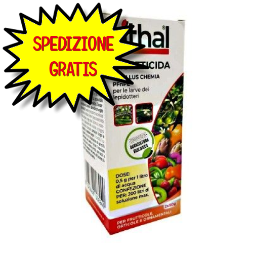 VITHAL insetticida BACILLUS 100 G PFnPE R.M.S.N°18213 DEL 30/12/2022