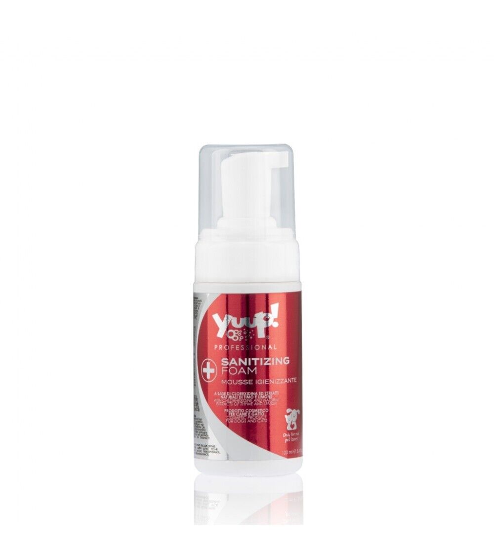 YUUP! MOUSSE IGIENIZZANTE 100 ML SHAMPOO SECCO CON CLOREXIDINA ESTRATTI NATURALI