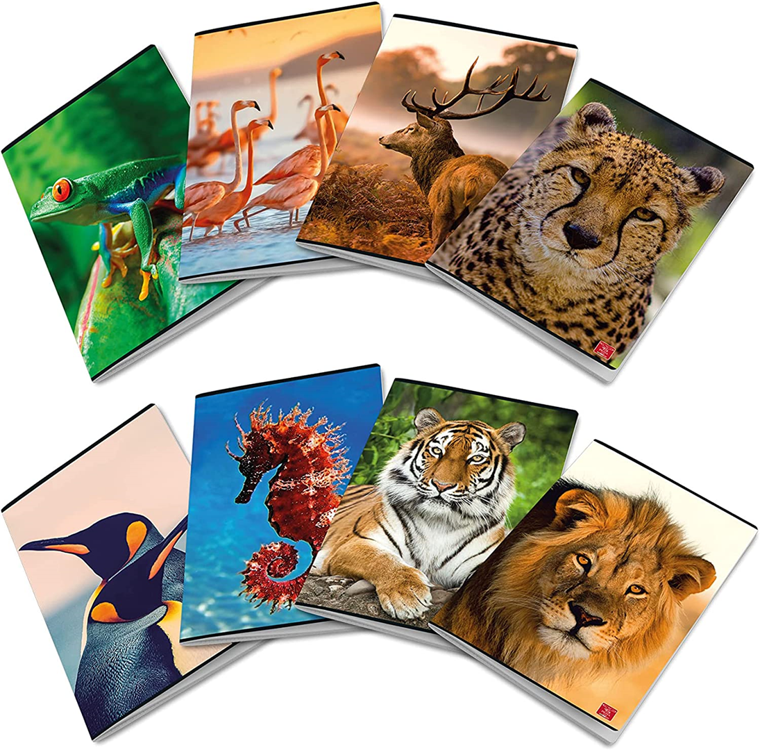 Confezione Pz 10 Maxiquaderno A4 P.m. 40fg  Animal B | Pigna