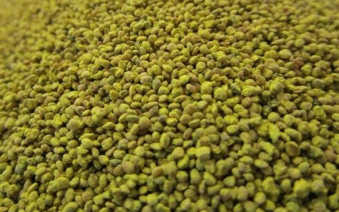 JUWEELA - Confezione da 100 g di chicchi di mais - 1/32 - JUW23304