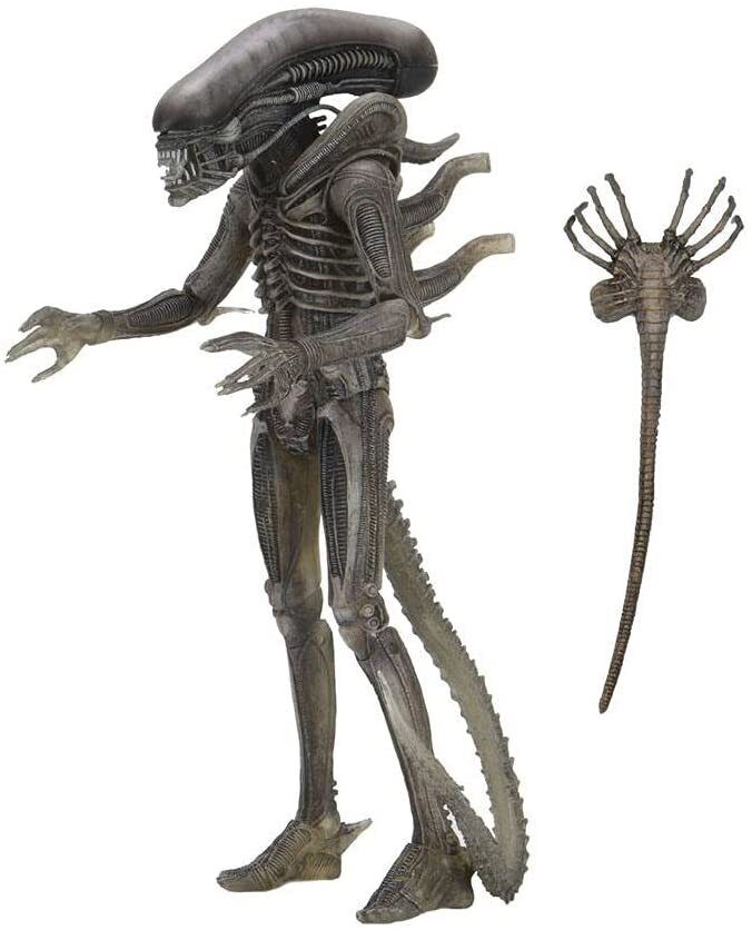 Alieno 40th Anniversario Onda 4 The Alieno Figura NECA 17123