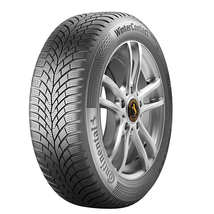 Gomme Invernali Continental 295/30 R19 100W WINTERCONTACT TS830P XL M+S pneumati