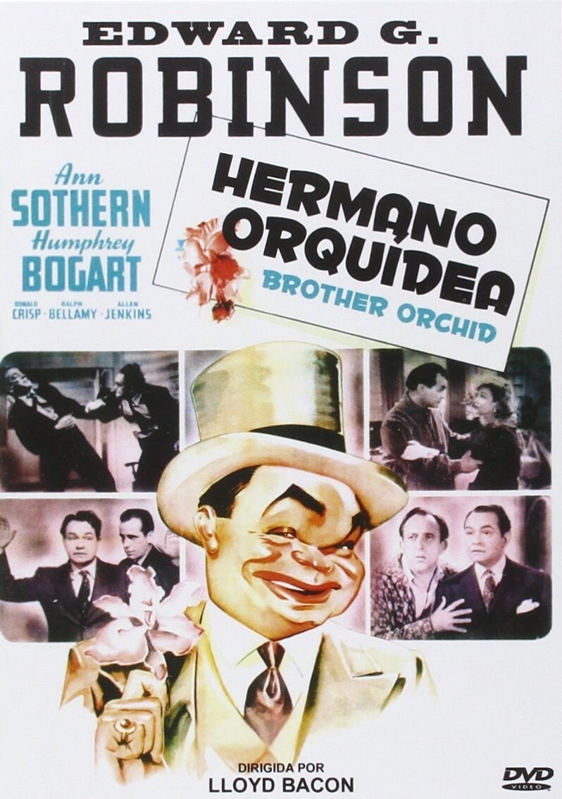 HERMANO ORQUIDEA (DVD)