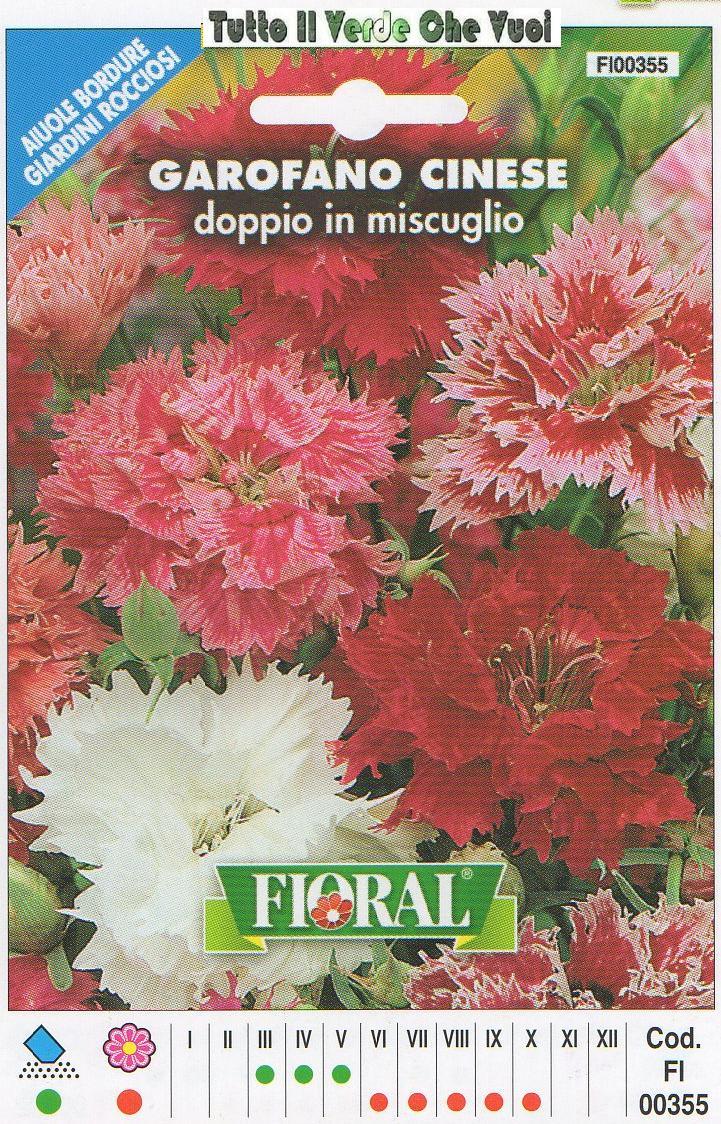 GAROFANO CINESE - AIUOLE BORDURE GIARDINI ROCCIOSI-FLORAL - BUSTA SEMENTI