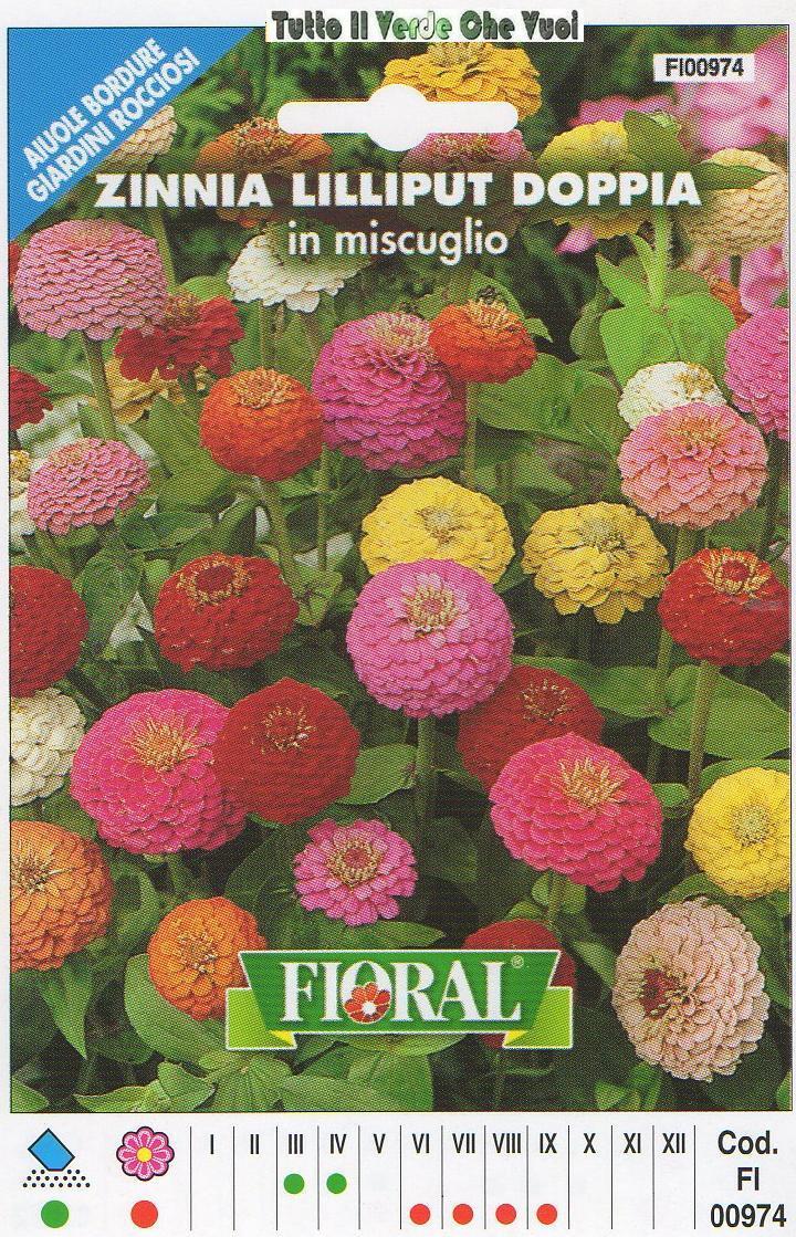 ZINNIA LILLIPUT DOPPIA- AIUOLE BORDURE GIARDINI ROCCIOSI-FLORAL - BUSTA SEMENTI