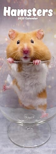 Hamsters Slim 2025 Slimline Wall Calendar | Animal, Pet Calendar: Original Avonside-Kalender - Slimline [Mehrsprachig] [Kalender]