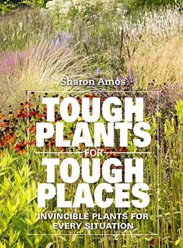 Tough Plants For Tough Places: Invincible Plants For Every Situation