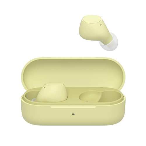 Sony Wfc510 | Cuffie True Wireless - Piccole E Leggere, Connessione Bluetooth Multipoint, Ambient Sound, Classificazione Ipx4, Spotify Tap, Ricarica R