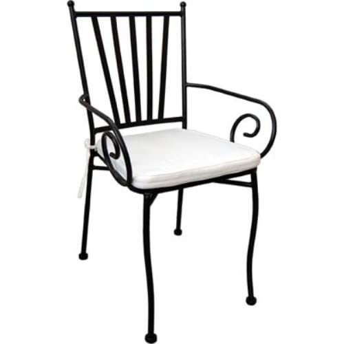 Viridex Sedia Ravello Braccioli Domus Acciaio Vern Cm 52X51 H.Cm 90 + Cuscino