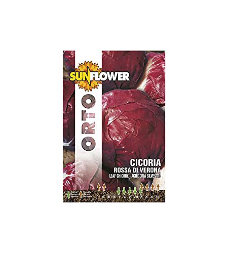 Sementi Cicoria Rossa Di Verona Sunflower (Cf 20)